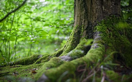 Financiamento climático no centro das negociações da COP29