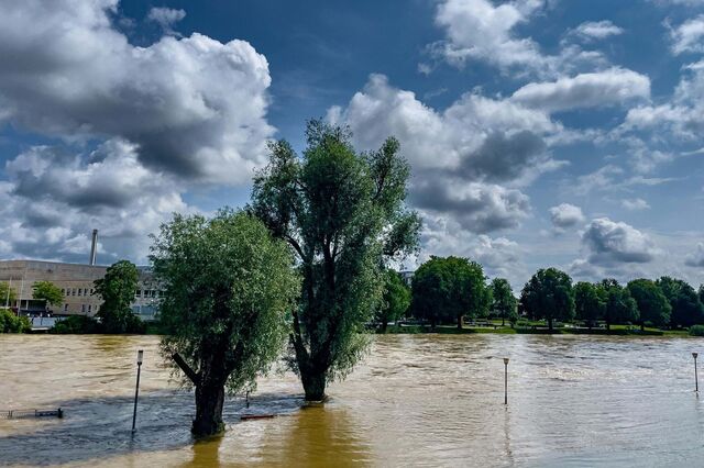 Crise climática vai obrigar à deslocação de milhões de pessoas até 2050
