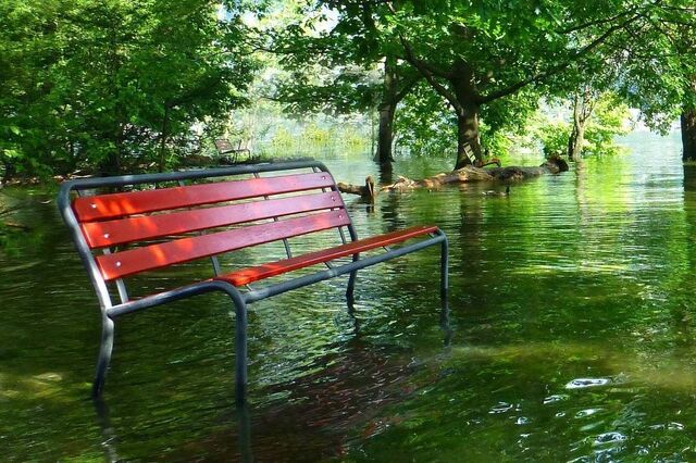 Portugueses consideram adaptação às alterações climáticas uma prioridade do país