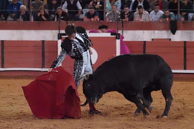 Tauromaquia: Venda de toiros de lide só paga 6% de IVA. Cavalos taxados a 23%