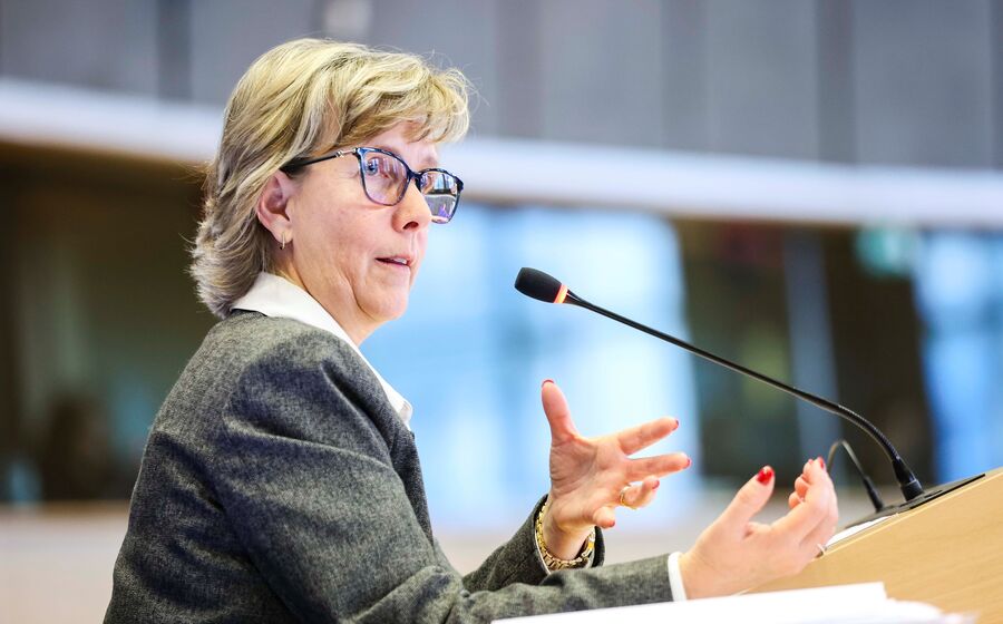 Maria Luís Albuquerque, Parlamento Europeu