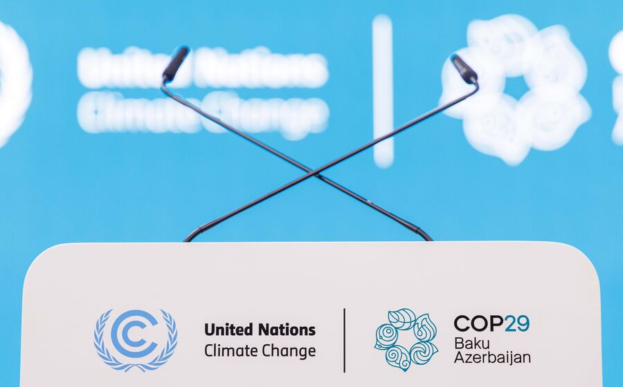 COP 29