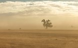 Parceria internacional melhora alertas precoces de tempestades de areia e poeira 