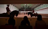 Arte Equestre  Portuguesa  é património  da Unesco, mas muitos portugueses não a conhecem 