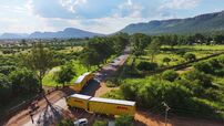 Os abutres a caminho da África do Sul.