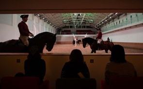 Arte Equestre  Portuguesa  é património  da Unesco, mas muitos portugueses não a conhecem 