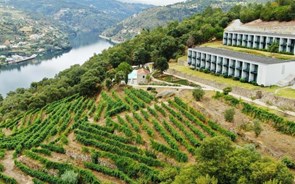 Concorrência não se opõe à compra de hotéis Douro Royal Valley e Douro Palace pela Explorer