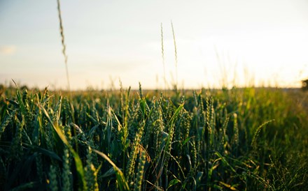 Agricultores 'perplexos' com corte drástico nos apoios. PS pede audição urgente