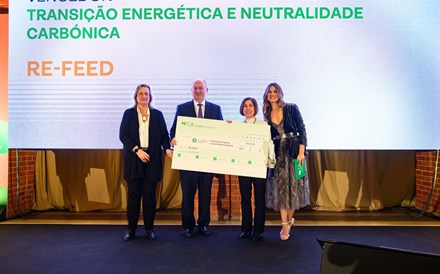 Re-Feed: sustentabilidade e inovação para o setor agroindustrial