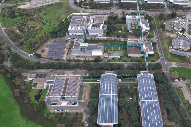 Mais de 130 agências Millennium bcp vão ter energia fornecida por 'bairros solares' da EDP