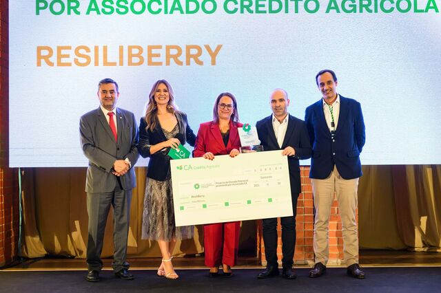 ResiliBerry faz florescer morangueiros que desafiam o clima