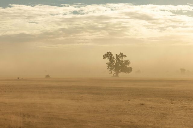 Parceria internacional melhora alertas precoces de tempestades de areia e poeira 