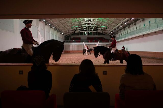 Arte Equestre  Portuguesa  é património  da Unesco, mas muitos portugueses não a conhecem 