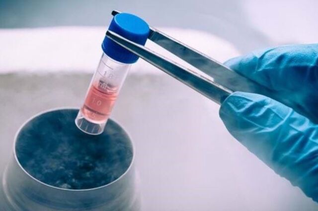 Explorer foi à Maia comprar a Biogerm