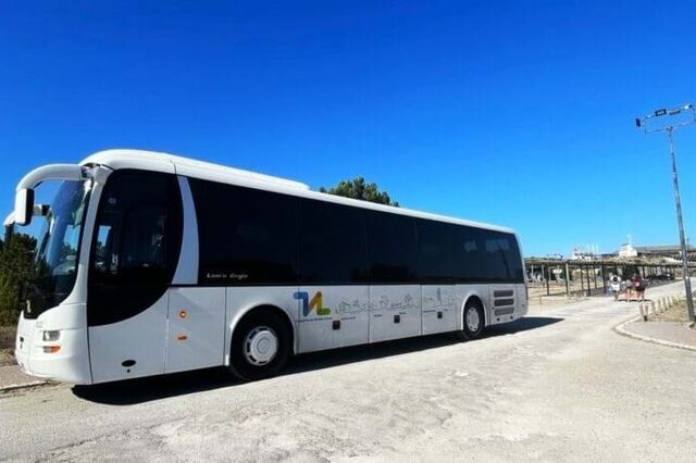 Passes nos transportes do litoral alentejano reduzidos para 20 euros em 2025