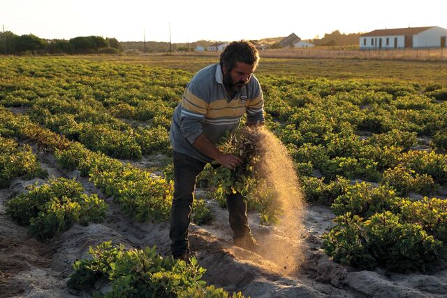 Produtores “criativos” em revista