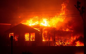 Seguradoras podem perder oito mil milhões com incêndios na Califórnia