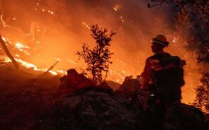 incendios-LA.mp4