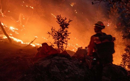 'Um dos desastres mais caros da história'. Perdas em LA perto dos 130 mil milhões