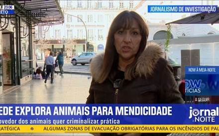 “Repórter Sábado” no canal NOW derrota CNN e SIC Notícias e lidera