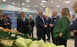 Lidl exportou 31 mil toneladas de frutas e legumes nacionais em 2024, recorde em dez anos