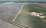 Família Martinavarro diz adeus a Portugal com venda de 700 hectares no Alentejo