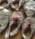 Alandroal, gastronomia, cultura, ambiente