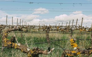 L’AND Vineyards recebe expedição eno-gastronómica da Quinta do Monte d’Oiro