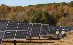 EDP estreia central solar no Mississipi com 100% da energia vendida à Amazon