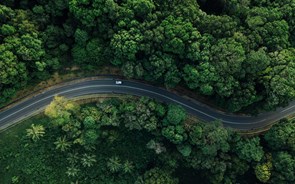 ARVAL APRESENTA AUMENTO DOS RESULTADOS 