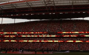 Estádio da Luz aumenta para 70 mil lugares: os planos do Benfica