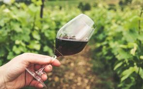 A UE é um grande exportador de vinho para os EUA.