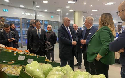 Lidl exportou 31 mil toneladas de frutas e legumes nacionais em 2024, recorde em dez anos