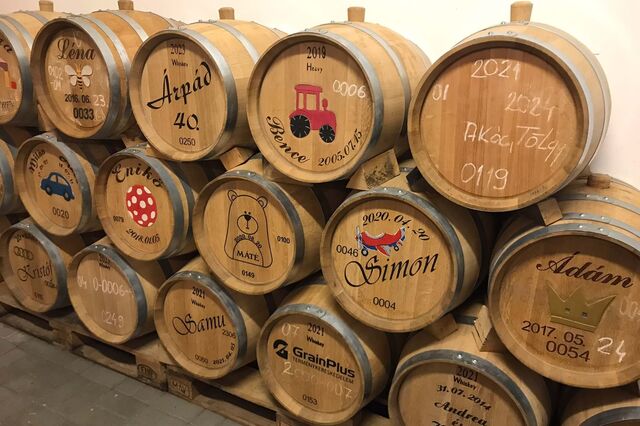Lisboa prova whisky da Hungria