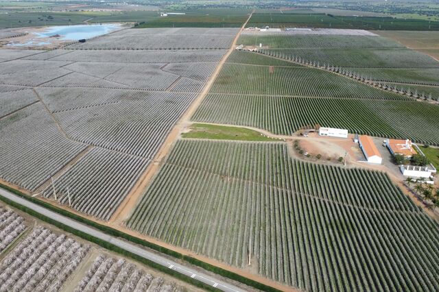 Família Martinavarro diz adeus a Portugal com venda de 700 hectares no Alentejo