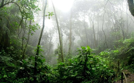 COP16 gera consenso sobre pacote anual de 200 mil milhões de dólares para a biodiversidade