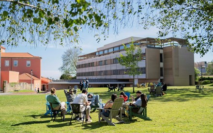 Um raro triplete no ensino de negócios