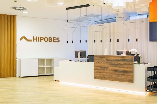 Hipoges termina 2024 com mais de 50 mil milhões em ativos sob gestão