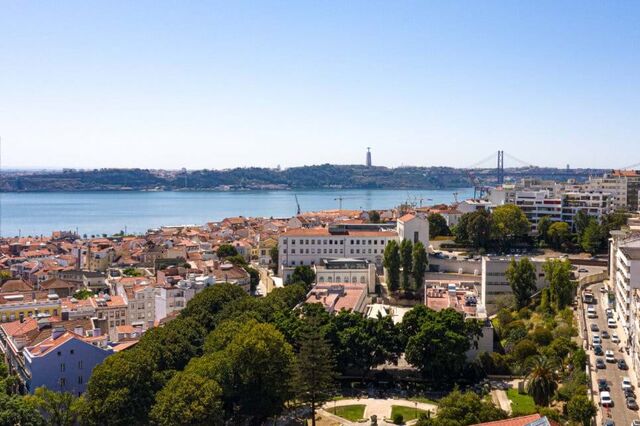 A escolha estratégica para uma carreira global