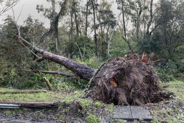 Depressão Martinho deixa estragos por todo o país. Veja as fotos