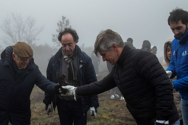  Vila Galé mobiliza plantação de 24 mil árvores no Parque Natural da Serra da Estrela