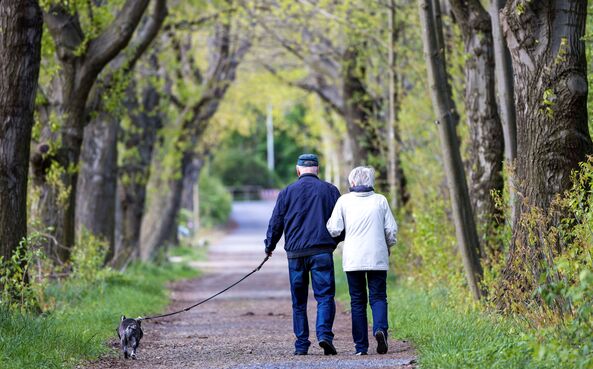 Atribuição das pensões conjuntas da Segurança Social e CGA está a demorar sete meses.