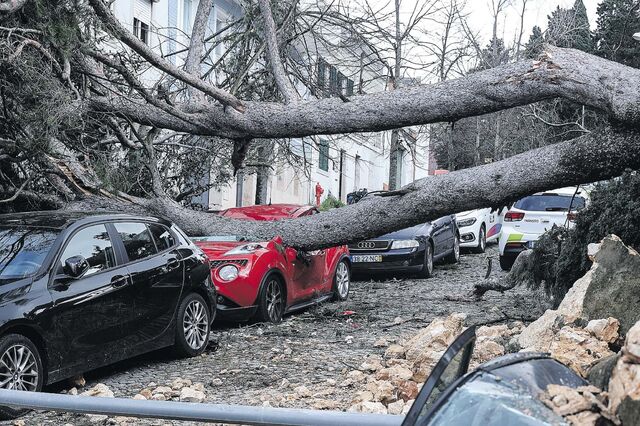 Setor dos seguros quer modelos PPP para as catástrofes naturais