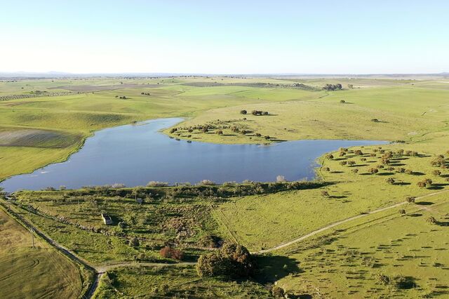 Herdade do condenado “Rei das Farmácias” foi vendida por 3,3 milhões em leilão online 