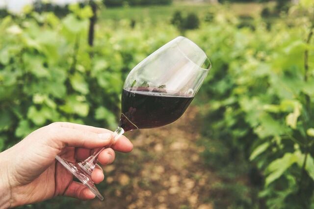 Conselho da UE inicia negociação de medidas de apoio ao setor do vinho