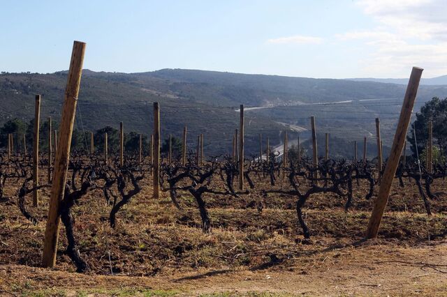 Futuro da agricultura desenha-se entre secas e tempestades