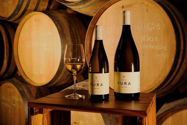 Exportações de vinho recuam no primeiro semestre por quebra no preço médio