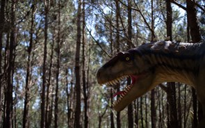 A extinção dos dinossauros 