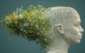 Faculdade de Ciências de Lisboa criou o Evaristo e deu-lhe várias personalidades para um melhor resultado.