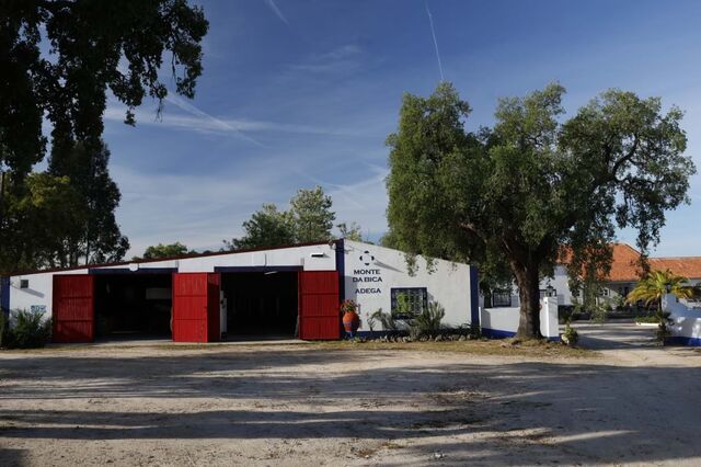 Monte da Bica investe 1,5 milhões em hotel e lagares em Montemor-o-Novo
